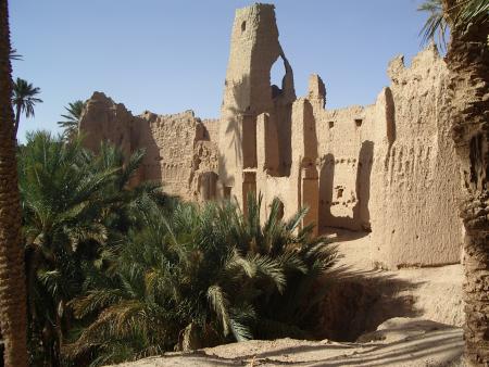 ajdir